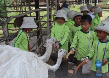 Outing Class KB-TK Al-Fityan Tangerang: Eksplorasi Seru di Aviary Park Indonesia